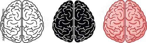 Brain illustration in outline black and color versions.
