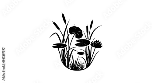 Black and white water lily plants.