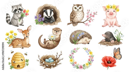 Adorable woodland and garden themed illustrations with flowers and animals in gentle watercolor style for seasonal decor and creative compositions. Collection of Vector illustrations.
