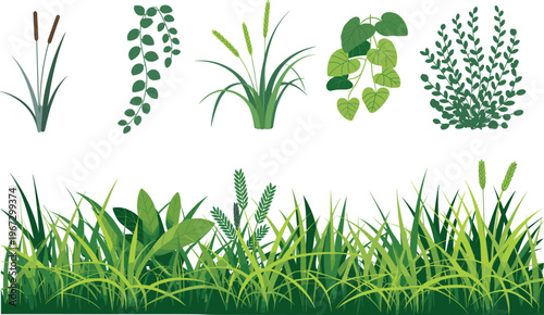Green plants and grass collection illustration, botanical elements, leaves, foliage, nature design, garden plants, eco environment, natural vegetation flat vector set