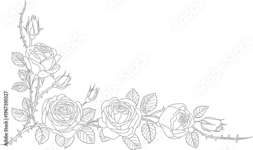 Elegant rose corner floral border line art, detailed decorative outline illustration with leaves and thorns for vintage ornamental frame design.