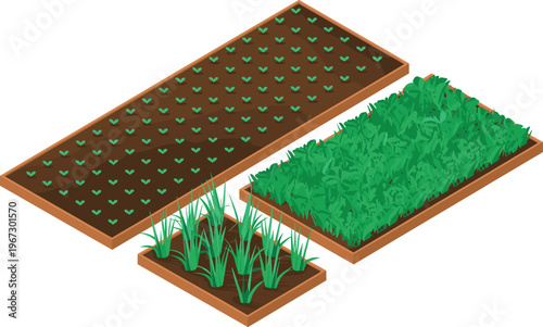 Vegetable garden beds illustration with seedlings and growing plants, urban farming concept, isometric vector design showing agriculture, organic gardening and sustainable food production