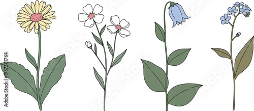 Floral Collection with Yellow Daisy, White Flower, and Bluebell Illustrations, Perfect for Botanical, Nature, and Spring Designs