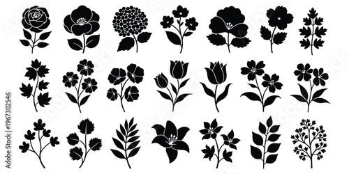 Floral silhouette collection, botanical vector set, flower shapes, plant icons, nature design, decorative pattern, garden elements, black illustration, flat vector illustration