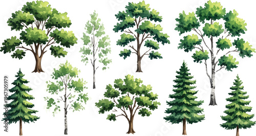 Watercolor green tree collection with 9 vector elements, deciduous and evergreen forest trees set, botanical oak and pine icons for landscape design