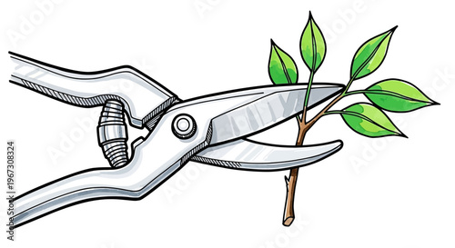 Pruning shears cutting green branch with fresh leaves  