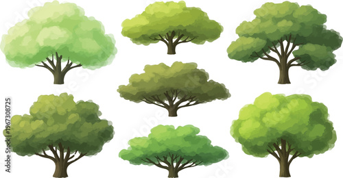 Watercolor green tree collection, set of 7 deciduous forest trees with lush foliage, organic garden plant vector illustrations for landscape design
