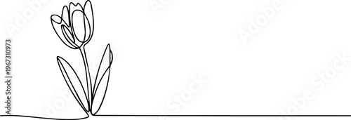 tulip flower continuous one line drawing, Tulip single line drawing. Abstract flower continuous one line illustration. Minimalist line art tulip. Continuous line drawing of flower tulip. Tulip flower