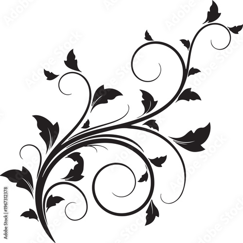 Black floral vine with leaves on white background swirling