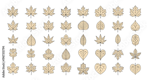 Comprehensive collection of diverse leaf outline icons showcasing different tree species and foliage shapes for nature and seasonal design projects.