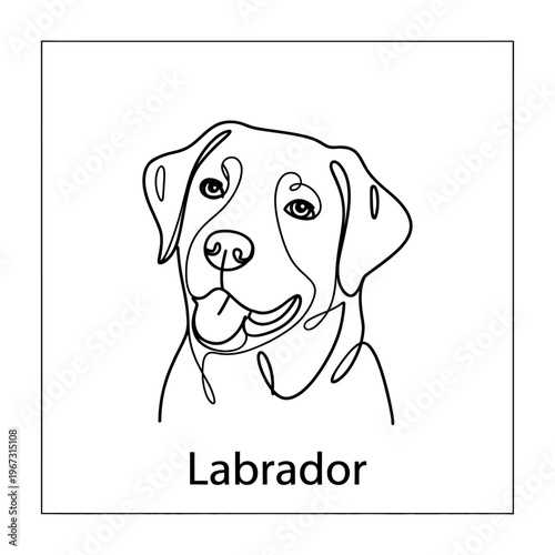 Vector of a friendly labrador retriever with a happy expression