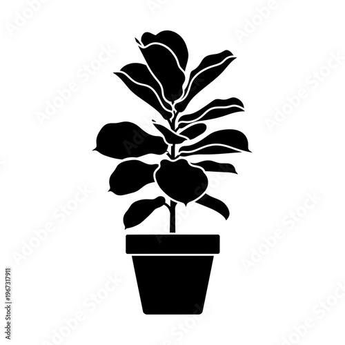 Silhouette of a potted fiddle leaf fig plant elegant and decorative perfect for home decor.