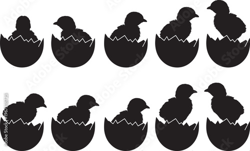 Charming easter day silhouette baby chicks hatching from eggs a springtime celebration of new life