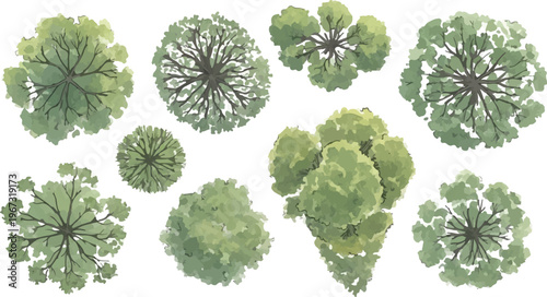 Watercolor tree top view collection, 9 architectural landscape plan symbols, green forest canopy vector set for site mapping and garden design