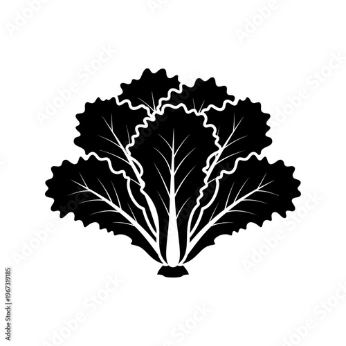 Black and white illustration of a fresh leafy lettuce plant ready for harvest.