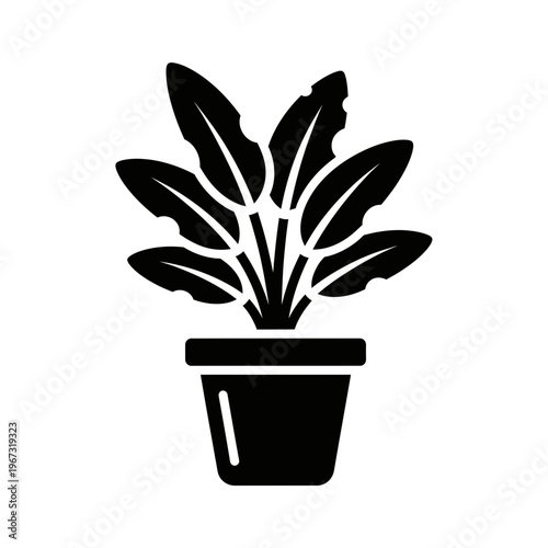 Black and white illustration of a potted houseplant with large leaves.