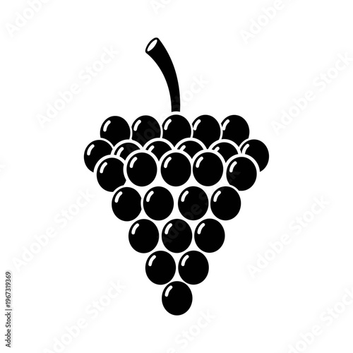 Black grapes bunch illustration on white background perfect for design.