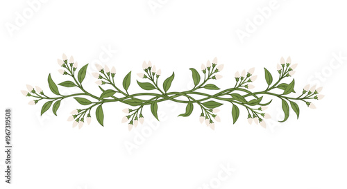 Long symmetrical horizontal floral border with thin green vines and small delicate white flowers or buds arranged in an elegant composition.