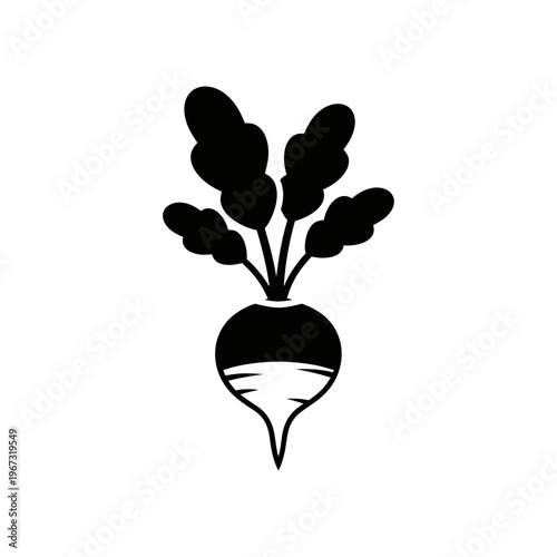 Black and white illustration of a fresh radish with green leaves healthy food concept.