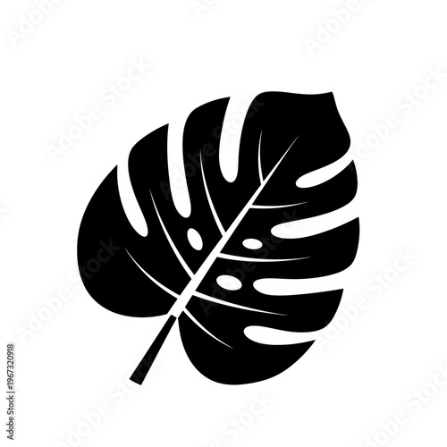 Monstera leaf silhouette a striking black and white botanical illustration.
