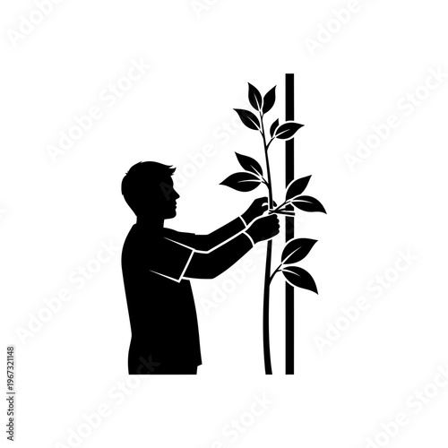 Person tending to a plant pruning leaves silhouette illustration.