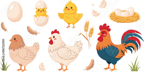 Farm Chicken Life Cycle Illustration Set with Hen Rooster Chick Eggs Nest Wheat Feathers and Poultry Farming Elements Collection