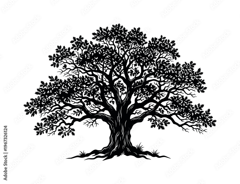 Fototapeta premium Black silhouette of a mighty oak tree. This detailed vector graphic with roots and branches symbolizes life, growth, and strength. Ideal for a logo or nature-themed emblem.
