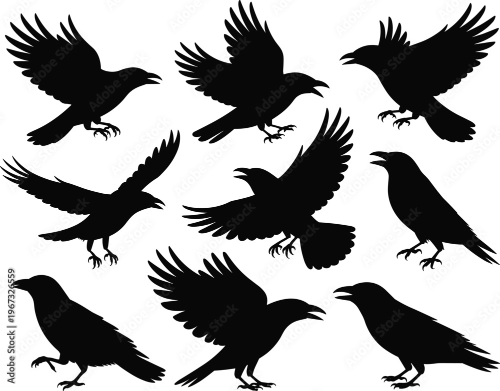 Obraz premium Crow bird silhouette vector set with flying and landing poses, black wildlife illustration collection