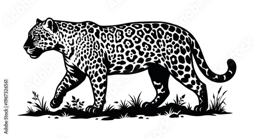 A powerful walking jaguar in a bold, black and white graphic style. This stylized vector illustration is perfect for logos, emblems, mascots, and modern brand identity designs.