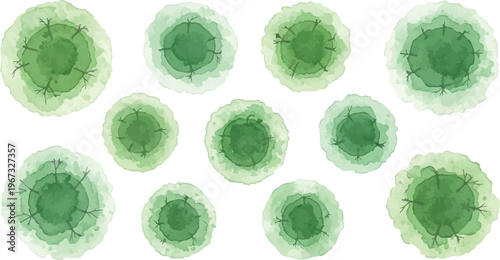 Watercolor green tree top view collection, set of 11 artistic forest plant symbols, architectural landscape design elements for site plans