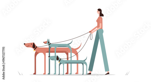 Woman walking three dogs on leashes in a minimalist, flat design style with a white background.
