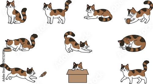 Calico Cat Characters in Various Poses Playing with Toys, Eating, and Sleeping for Pet, Animal, and Cartoon Designs
