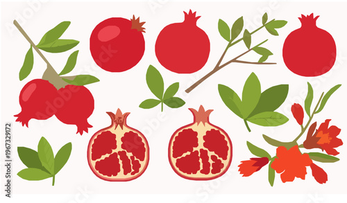 Pomegranate Set with Seeds Leaves and Flowers Flat Botanical Vector Illustration