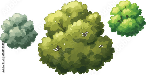 Hand drawn green bushes set, watercolor style garden shrubs vector, lush foliage and decorative hedge elements for landscape design