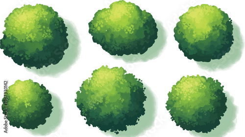 Top view green bushes vector set, 6 garden shrubs for landscape design, bird's eye view vegetation elements for architectural site plans