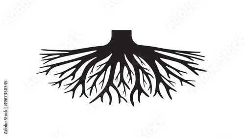 Roots black silhouette with spreading branches underground, symbolizing growth and foundation on a white background.