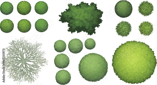 Top view landscape trees and bushes vector set, architectural plan greenery symbols, aerial garden plants for site mapping and masterplan design