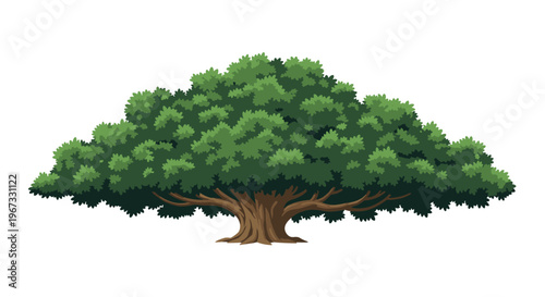 Majestic large green tree with a wide spreading canopy and thick brown trunk stands isolated against a white background representing nature.