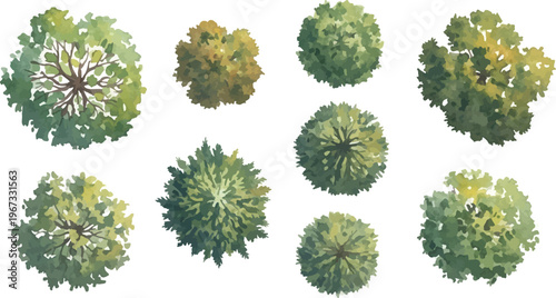 Watercolor tree top view set, architectural landscape plan symbols, green forest canopy vector elements for site mapping and garden design