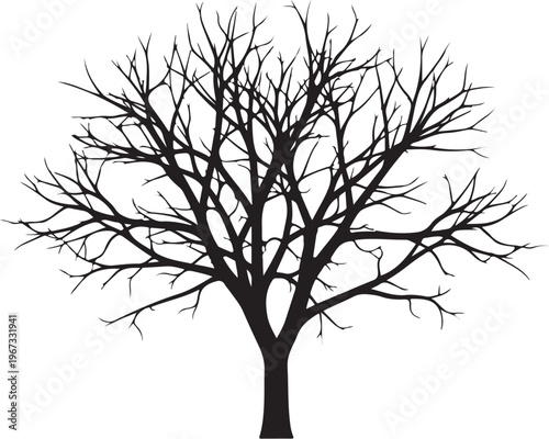 Bare tree silhouette black white background