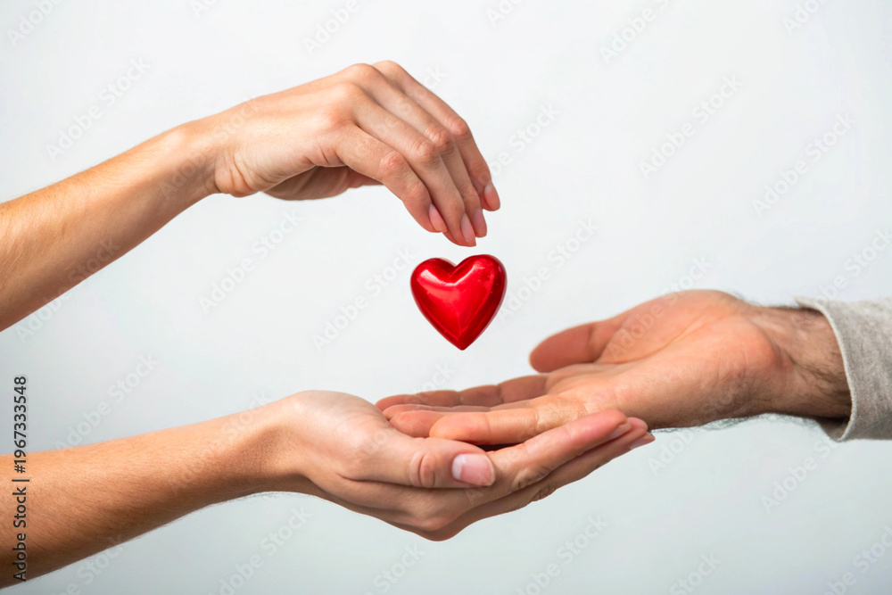 Obraz premium heart in hands