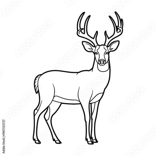 Vector of a majestic deer with large antlers standing calmly in a natural setting