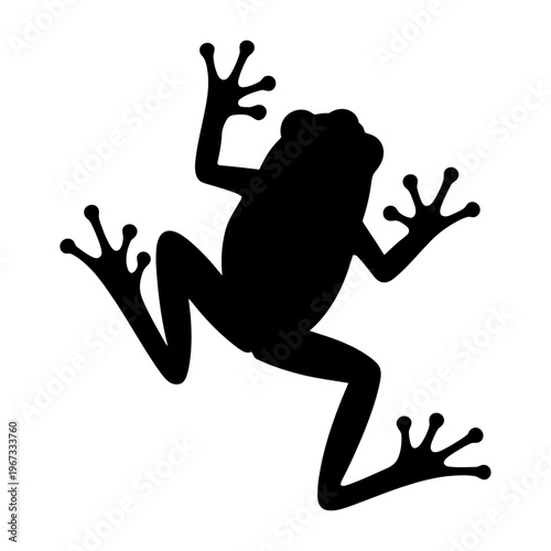 Vector silhouette of a frog with limb structure and webbed feet