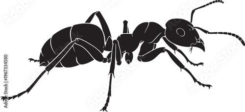 Black ant silhouette with white outline on white background