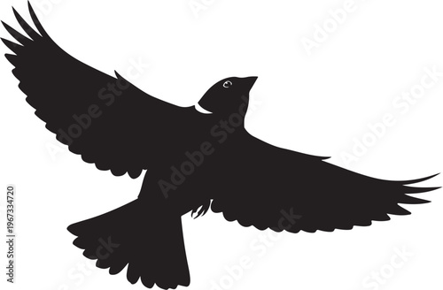Black bird in flight with outstretched wings silhouette