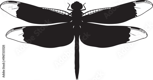 Black dragonfly silhouette with white accents on wings
