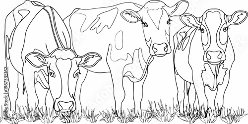 A group of cows stands in a field depicted in a simple line drawing