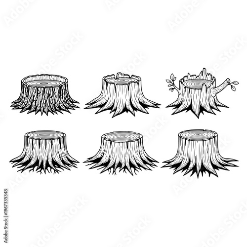 Set of six various hand drawn vintage engraving style tree stumps featuring realistic wood bark textures and rings for forest landscape woodland nature and timber industry vector illustration designs.
