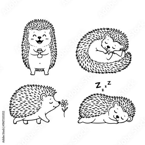 Set of four adorable hand drawn hedgehog characters in various poses including sleeping and drinking coffee in detailed black and white sketch style for children book and card vector designs.