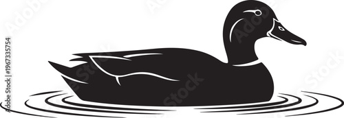 Black duck swimming in water silhouette ripples